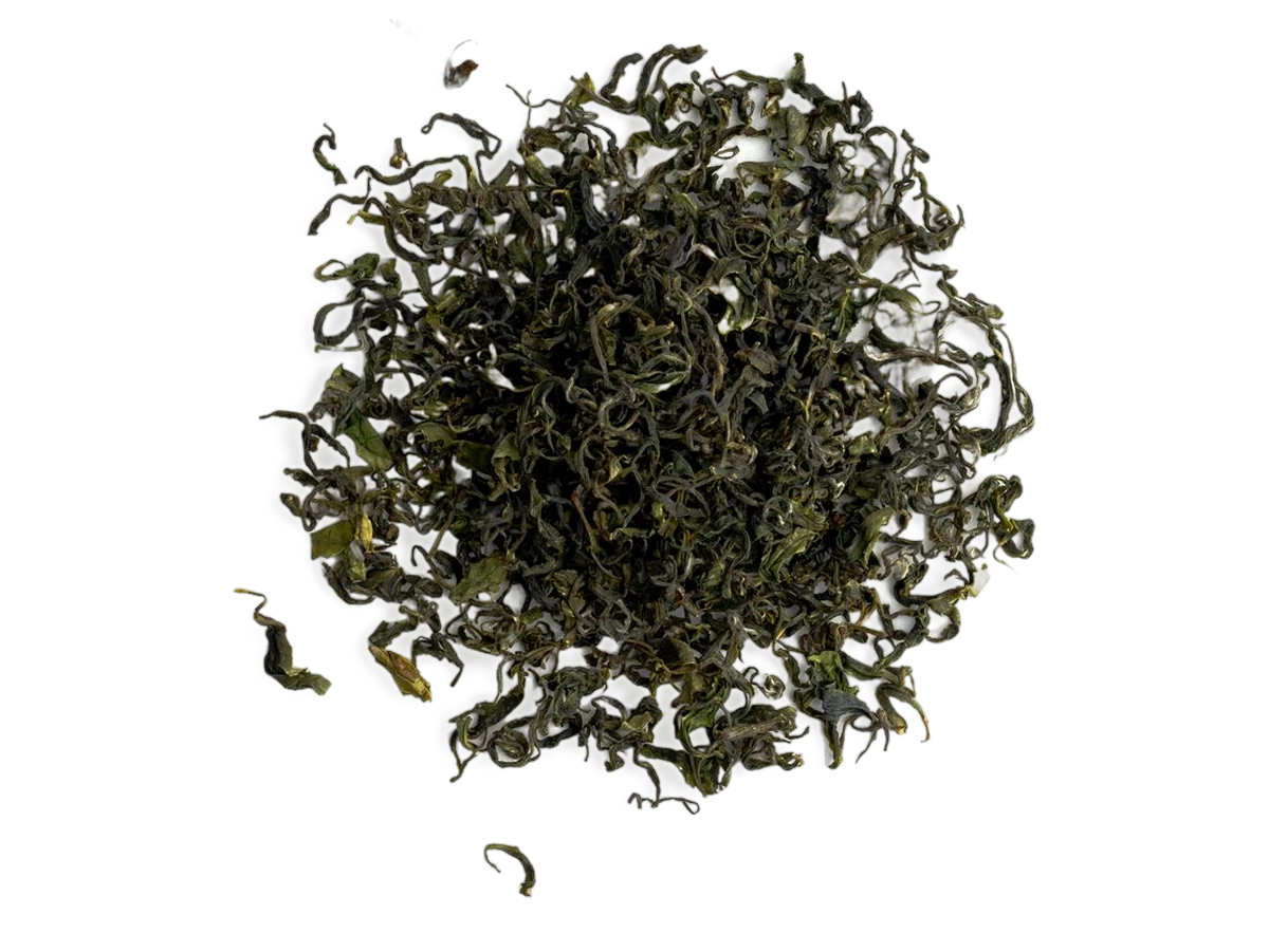 Sejak loose leaf