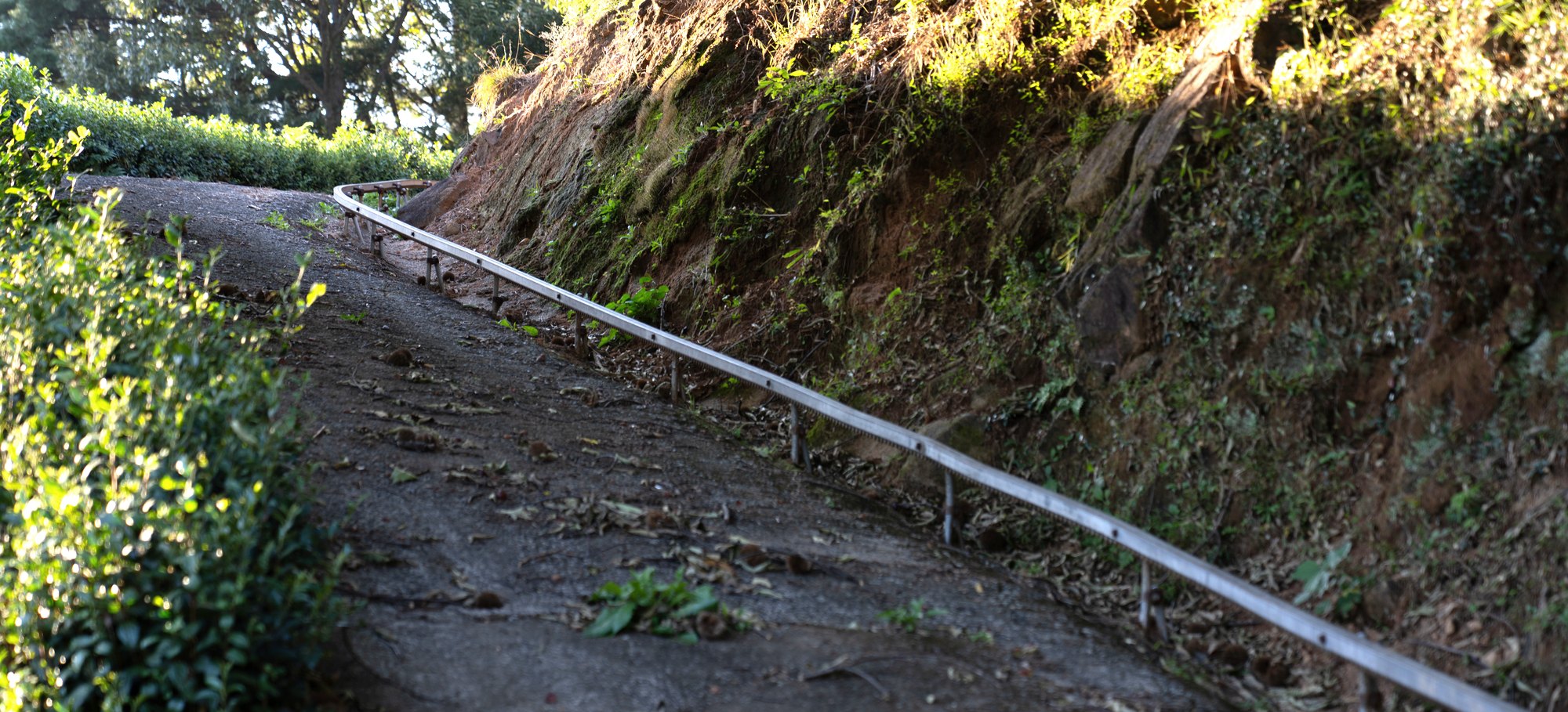 The mountain track that carries hand-picked tea down from the field